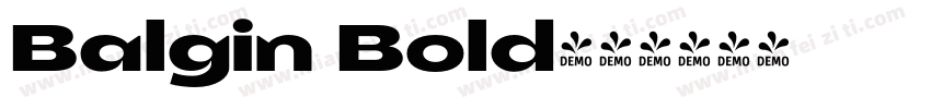 Balgin Bold字体转换